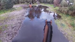 Tooradin Xc Schooling