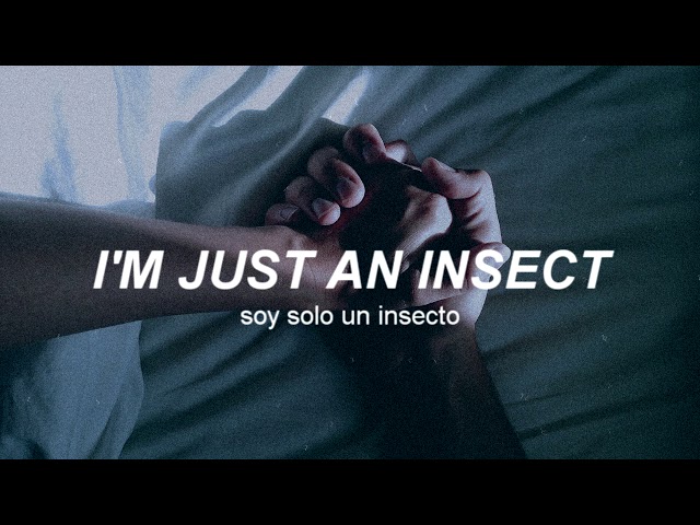 radiohead • all i need || lyrics • sub español