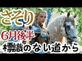 【さそり座6月後半】🌈標識の無い道を努力で通り抜けてきたあなたには、まだまだ無限の可能性🌈少し休んで自分を取り戻す🌈きっとうまくいく🌈
