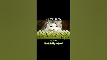 [CAT ASMR] 말차 푸딩 키보드 먹방 #cat #ai #matcha #pudding #keyboard #asmr #cute #cutecat #mukbang