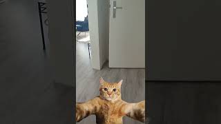 24 Август 2024 Г.