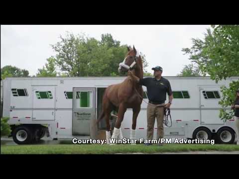 Triple Crown Winner Justify Arrives At WinStar Farm