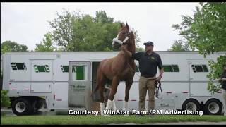 Triple Crown Winner Justify Arrives At WinStar Farm