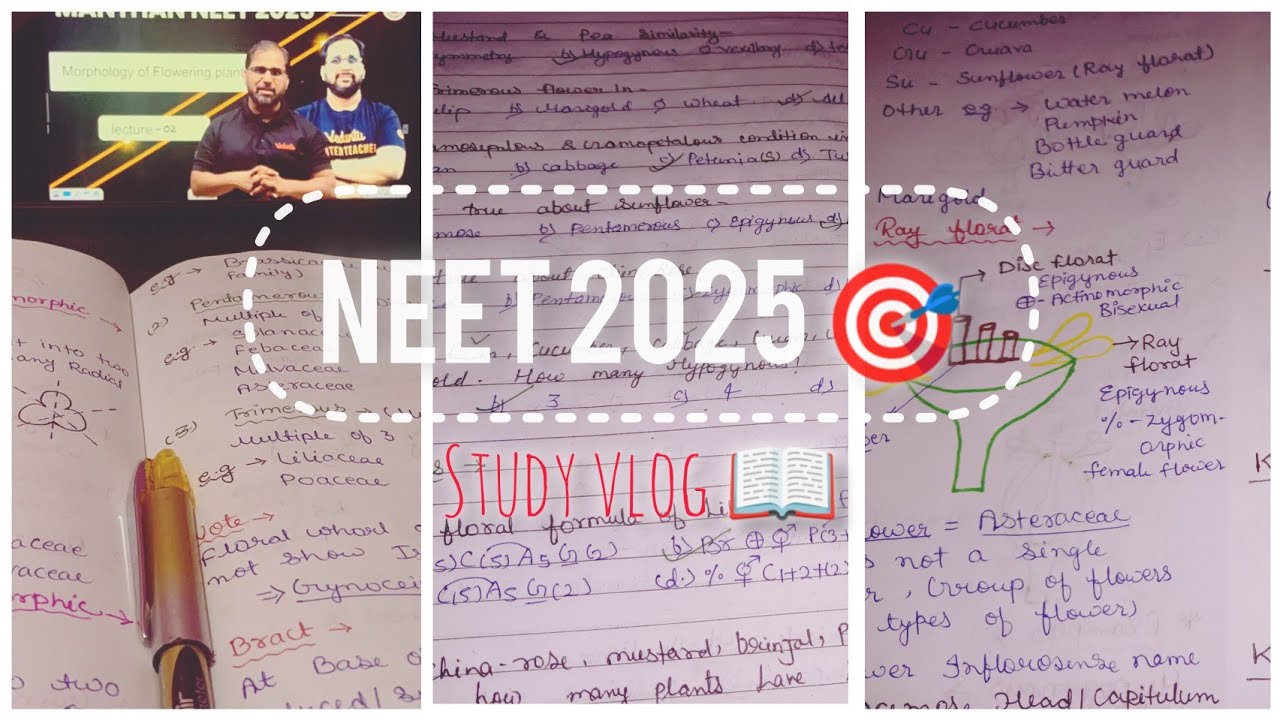NEET study vlog 📚||Neet 2025 preparation 🔥🔥#study vlog #neet - YouTube