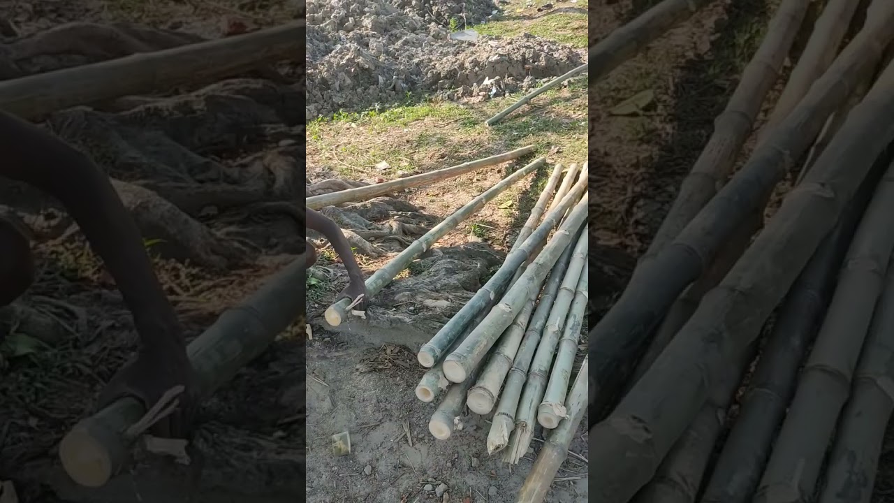 Bamboo cutting skill 