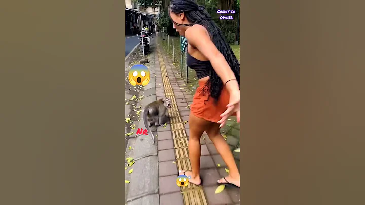 Watch the video about Funny animals videos 😱 funny shorts 672 😂 comedy video 🤣#shorts #funnyanimal #animals #pets #funny