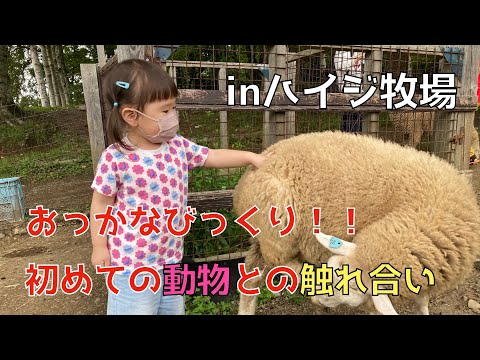 【夏の思い出】ハイジ牧場にやってきたぞ！初めて動物と触れ合うの巻