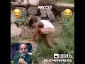 الضربه القضيه في الحته الفضيه