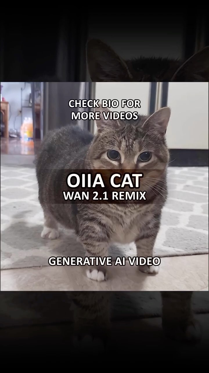OIIA CAT - WAN 2.1 REMIX