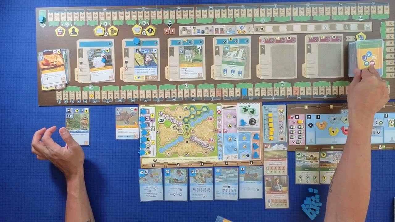 Ark Nova — одиночное прохождение (с Marine Worlds)