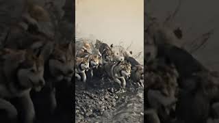 Tragedy and Sacrifice | Native American Survival