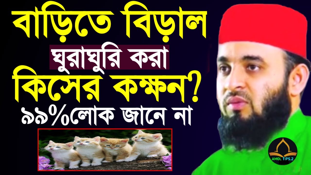 বাড়িতে বিড়াল ঘুরাঘুরি করা কিসের লক্ষন? ৯৯% লোক জানে না । মিজানুর রহমান আজহারীFeb 26, 2026