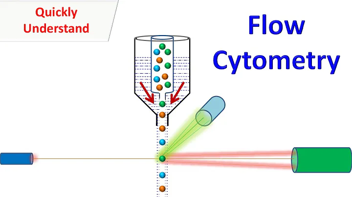 Flow Cytometry - DayDayNews