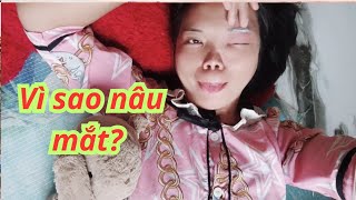 Rùa Trốn Nợ, Nhím Khóc Sưng Mắt
