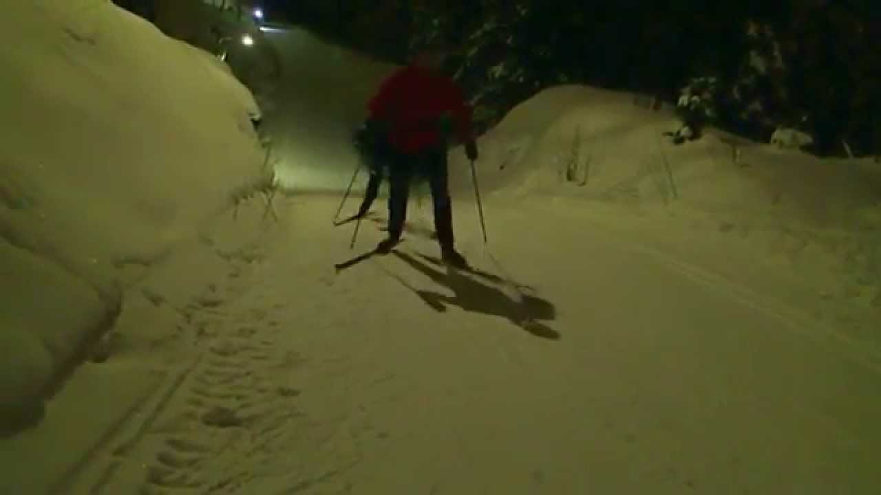 CrossCountry Skiing with DogsOslo YouTube