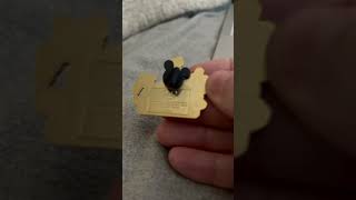 Disney Annual Passes & Super Rare Disney Pin