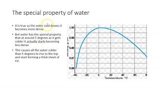 Why do lakes freeze from top to bottom?