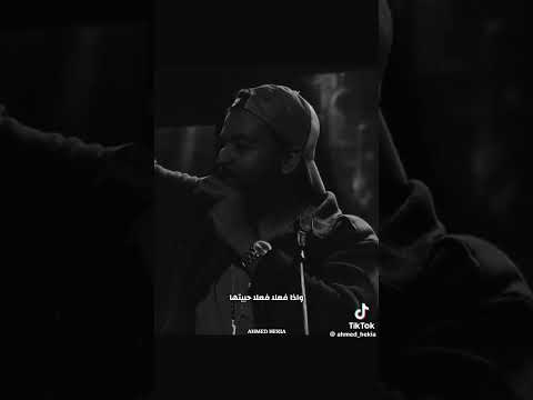 عمرو حسن خلينا صحاب