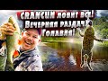 Голавль в холодный фронт! |  Вечерний выход на кренки! | За голавлем по малым рекам