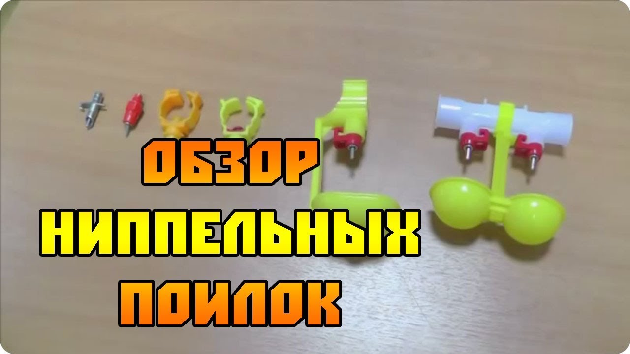 Ниппельные и чашечные поилки для птицы, обзор!