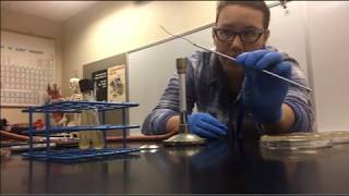 Lab Demo 4 1 and 4 5 PEA and EMB