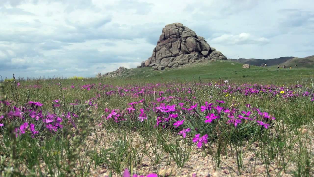 Zulsar - Buyant Gol (Mongol khoomii)