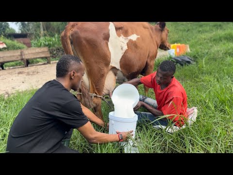 Mubangabyiro Ziratangaje Mumukamo Wazo