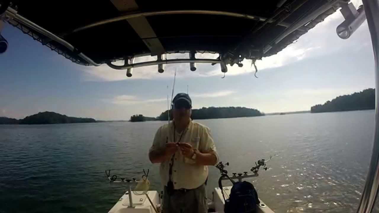 Nuts and Bolts of Downline Fishing Lanier Striper Club YouTube
