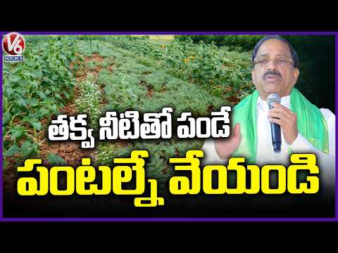Minister Thummala Nageswara Rao Suggestions To Farmers Over Crops | Khammam | V6 News - V6NEWSTELUGU
