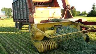 Chopping hay 2010