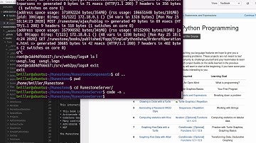 Development Workflow with Runestone and Docker