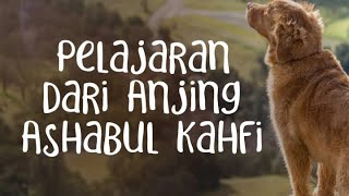 Pelajaran dari Anjing Ashabul Kahfi - Rumaysho TV