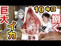 気まぐれクックと10キロの巨大なイカを捌いてイグ！【Raphael】