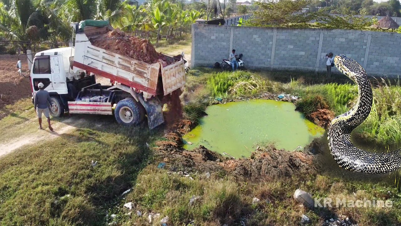 Delete Snake Pond!! Start Filling Land In Deep Flooded Pond Use Bulldozer Pushing Soil & 5ton Truck.