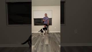 Capturing a behavior with Pirate