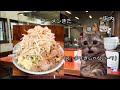 初めてラーメン二郎に行った時の話 #猫マニ #猫ミーム