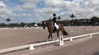 Emily and Juilliard DG, 4th Level Test 1, 3-10-23