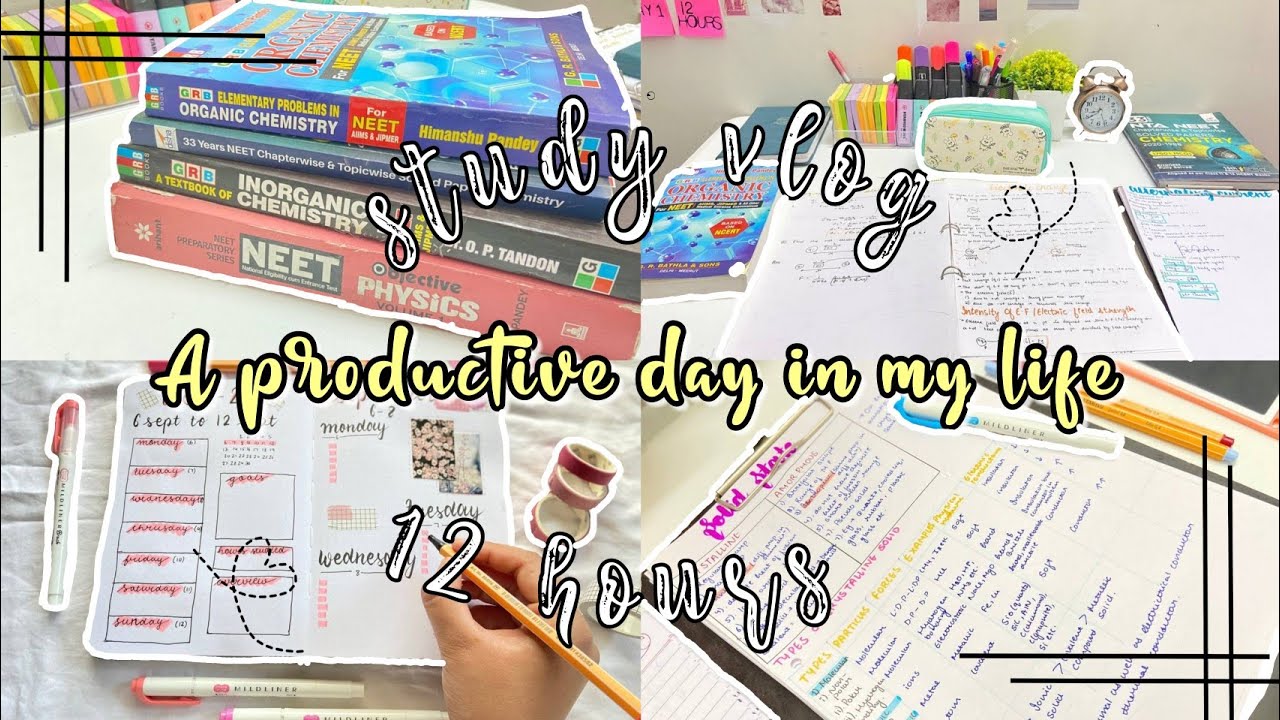Study vlog 🍃 | A productive day in my life | NEET aspirant - YouTube