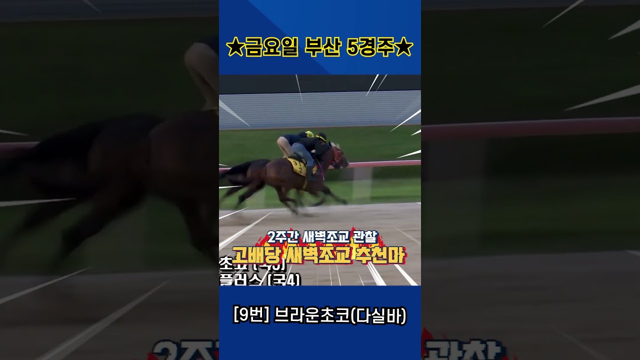 9월18일 금요일 부산 5경주!! 2주간 훈련보인 강백호의 새벽조교 쏘스마!!
