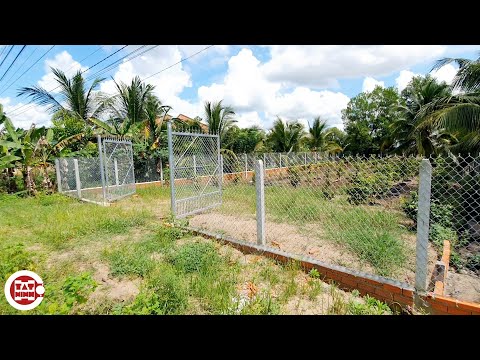 Video Bán gấp đất đường nhựa 14x30 có thổ cư gần trường học... - youtube