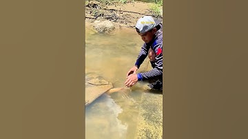 Cá Lớn - bắt Cá Chép Coi ẩn nấp 😱 #khacthuyvlogg