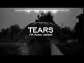 Tears  no copyright music sad emotional background music for vlog free instrumental music