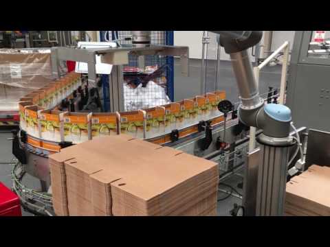 Case Handling Collaborative robot