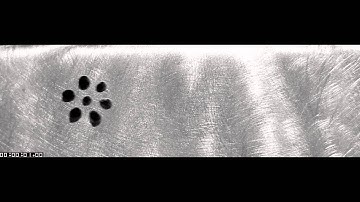 Reversible switching between static and dynamic self-assembly of magnetic droplets