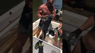 CATFISH NOODLING: How much do y’all think this blue cat weighs?