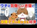 【ほっこりする話】道端で保護した子犬とウチの無愛想な老猫を会わせた結果【感動する話】