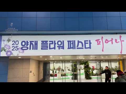 #안 보면 손해… 2025 꽃미친 축제 현장