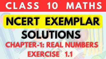 Class 10 Maths NCERT Exemplar Chapter 1 Real Numbers Exercise 1.1 Solution #class10