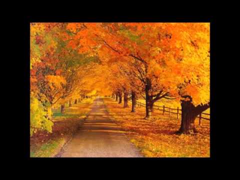 علیرضا قربانی گشتە خزان