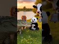 Quelle est la différence entre un crocodile et un alligator ?
